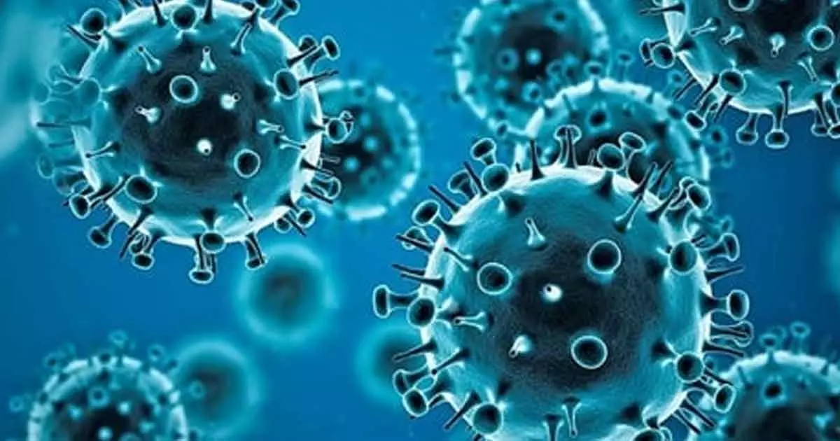 kerala state health dept not updating covid details in website kerala state health dept not updating covid details in website