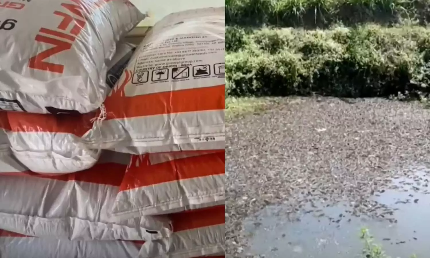 Wayanad- Fisheries Department