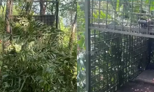 Forest dept, Pathanamthitta