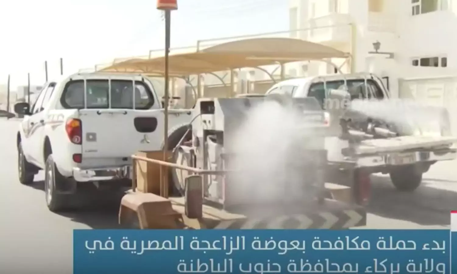 Aedes aegypti mosquito control: Oman Ministry of Health with campaign Aedes aegypti mosquito control: Oman Ministry of Health with campaign