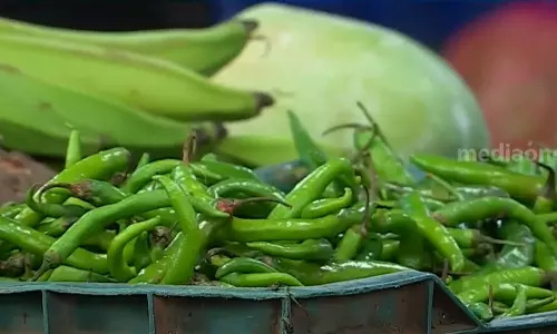 Kerala Vegetable price hike, Vegetable price hike in Kerala,കുടുംബ ബജറ്റിന് എരിവേറ്റി പച്ചക്കറി വില; രണ്ടാഴ്ച കൊണ്ട് മുളക് വില ഇരട്ടിയായി,latest news malayalam