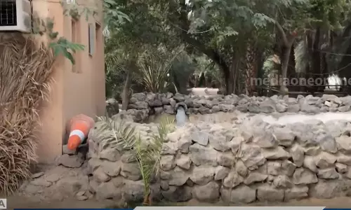 മദീനയിൽ 1500ലേറെ പുരാവസ്തു കേന്ദ്രങ്ങൾ; സന്ദർശകർക്ക് പ്രവേശനം അനുവദിക്കും