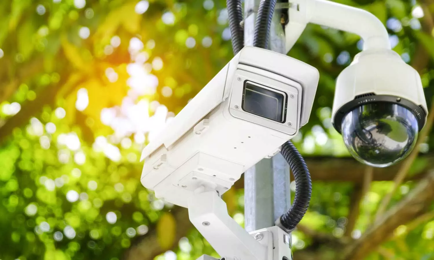 ഇനി പിടിവീഴും; ഗതാഗത വകുപ്പിന്റെ എഐ കാമറകൾക്ക് പ്രവർത്തനാനുമതി