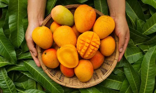 രുചിയിൽ കേമനായ മാമ്പഴത്തിന്‍റെ ഗുണങ്ങളറിയാം....