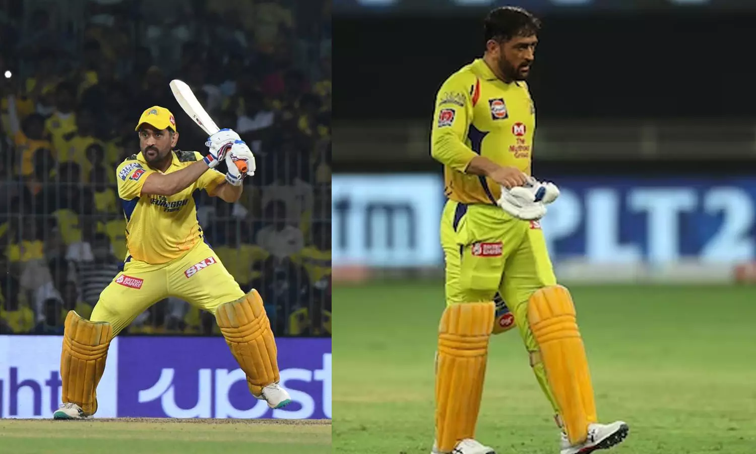 MS Dhoni nursing a knee injury