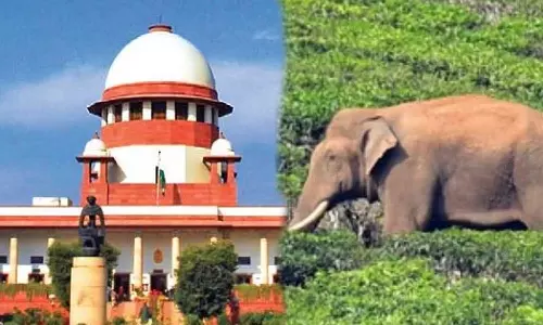 സുരക്ഷിതമായ സ്ഥലം ഇനിയും കണ്ടെത്താനായില്ല, അരിക്കൊമ്പനെ മാറ്റുന്നത് പ്രയാസകരം; വനം വകുപ്പ് സുപ്രിംകോടതിയിലേക്ക് സുരക്ഷിതമായ സ്ഥലം ഇനിയും കണ്ടെത്താനായില്ല, അരിക്കൊമ്പനെ മാറ്റുന്നത് പ്രയാസകരം; വനം വകുപ്പ് സുപ്രിംകോടതിയിലേക്ക്