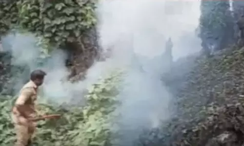 കോഴിക്കോട് തോട്ടത്തിൽ തീപിടിത്തം