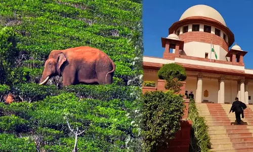 Arikkomban, SupremeCourt, Keralagovernment