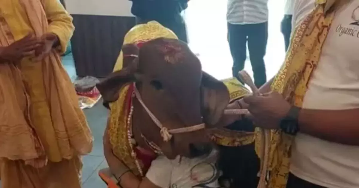 Cow inaugurated a restaurant owned by former Deputy SP in UP