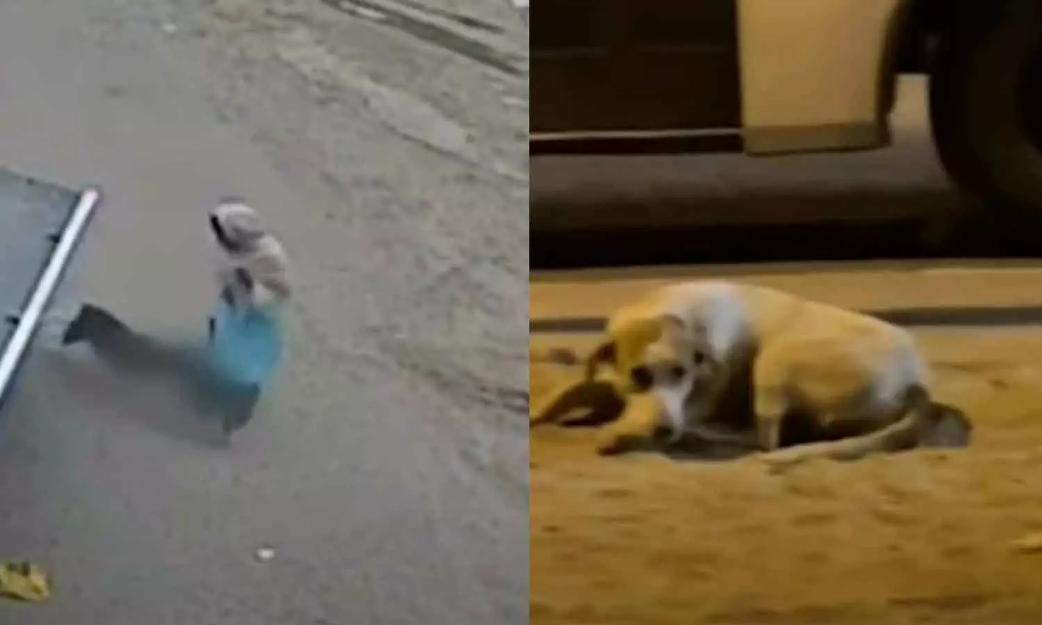 Kuwait city, Kuwait News