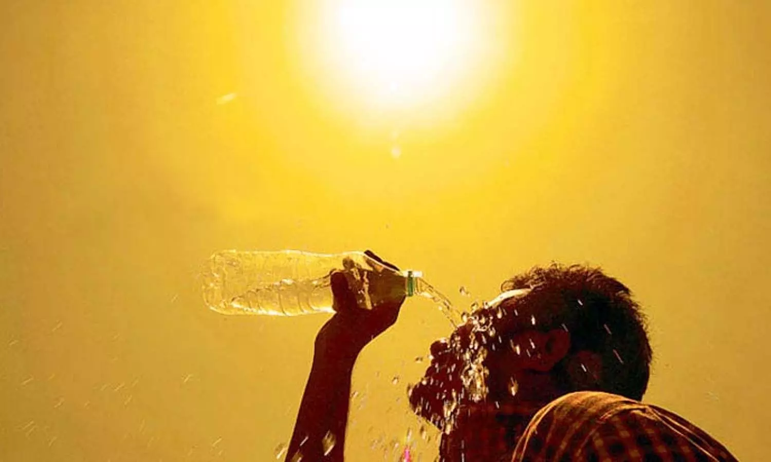 summer heat summer heat