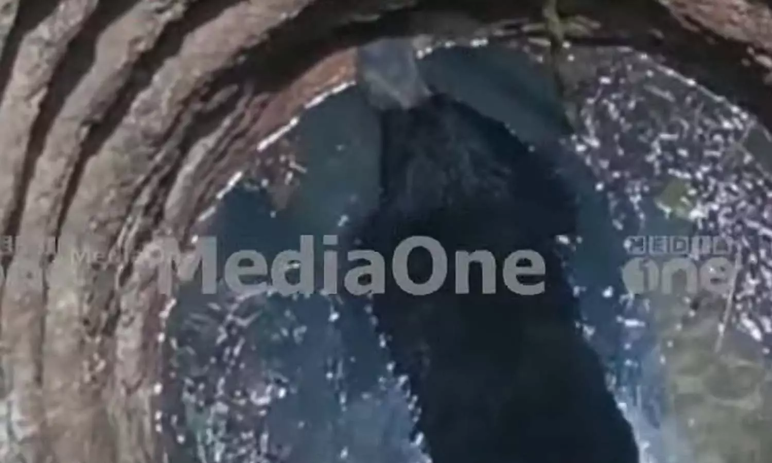 തിരുവനന്തപുരം വെള്ളനാട് കരടി കിണറ്റിൽ വീണു തിരുവനന്തപുരം വെള്ളനാട് കരടി കിണറ്റിൽ വീണു