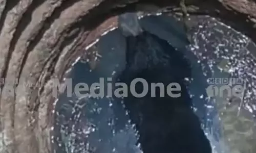 തിരുവനന്തപുരം വെള്ളനാട് കരടി കിണറ്റിൽ വീണു തിരുവനന്തപുരം വെള്ളനാട് കരടി കിണറ്റിൽ വീണു