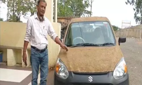 Escape from the heat; The doctor covered the car in dung