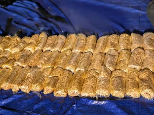 Massive drug bust,Sharjah,24 people ,arrest Massive drug bust,Sharjah,24 people ,arrest