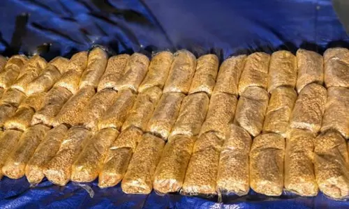 Massive drug bust,Sharjah,24 people ,arrest