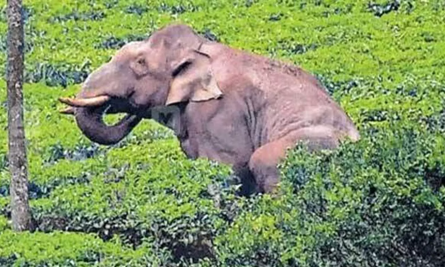 arikompan news arikompan news