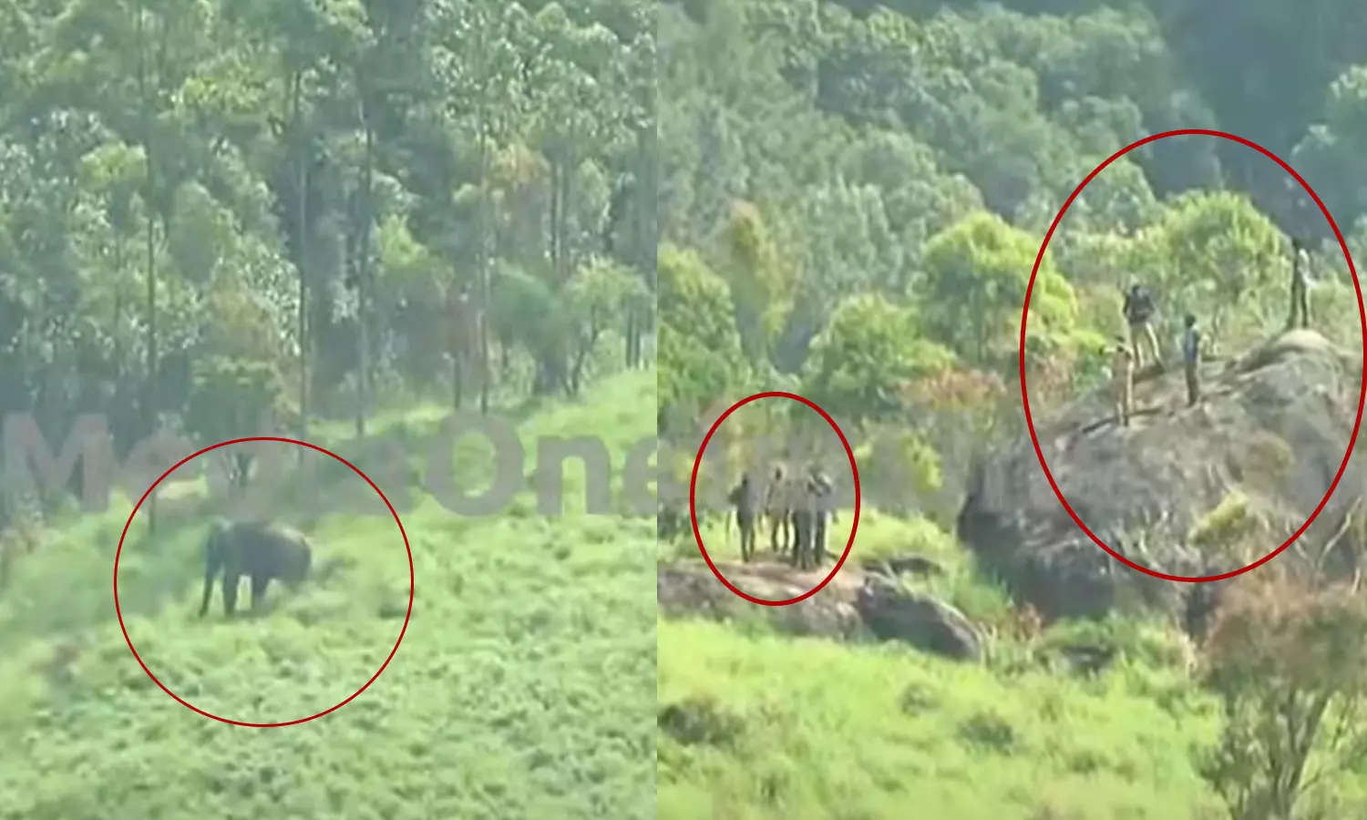 മയക്കുവെടി വെച്ചു; മിഷന് അരിക്കൊമ്പന് വിജയത്തിലേക്ക് മയക്കുവെടി വെച്ചു; മിഷന് അരിക്കൊമ്പന് വിജയത്തിലേക്ക്