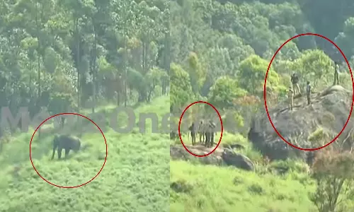 മയക്കുവെടി വെച്ചു; മിഷന് അരിക്കൊമ്പന് വിജയത്തിലേക്ക് മയക്കുവെടി വെച്ചു; മിഷന് അരിക്കൊമ്പന് വിജയത്തിലേക്ക്