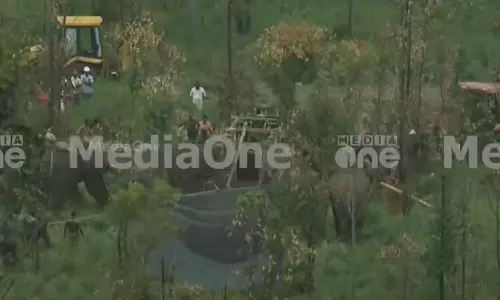 The elephant was loaded into the vehicle; Mission Arikompan to victory