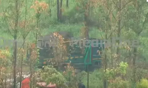 അരിക്കൊമ്പൻ ട്രാപ്പ്ഡ്; ആനയുമായി വാഹനം ചിന്നക്കനാലിൽനിന്ന് പുറപ്പെട്ടു