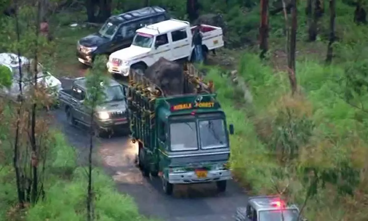 Arikkomban reached periyar tiger reserve