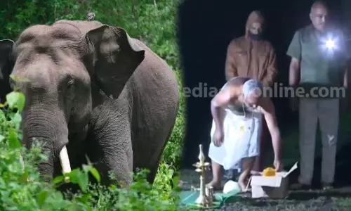 ആനയായിട്ടല്ല, വീട്ടിലേക്ക് വന്ന അതിഥിയായി കണ്ടാണ് പൂജ നടത്തി സ്വീകരിച്ചത്; പൂജാരി ആനയായിട്ടല്ല, വീട്ടിലേക്ക് വന്ന അതിഥിയായി കണ്ടാണ് പൂജ നടത്തി സ്വീകരിച്ചത്; പൂജാരി