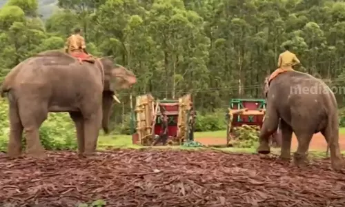 Konni Surendran, Kunchu return,  Arikomban mission completed, latest malayalam news