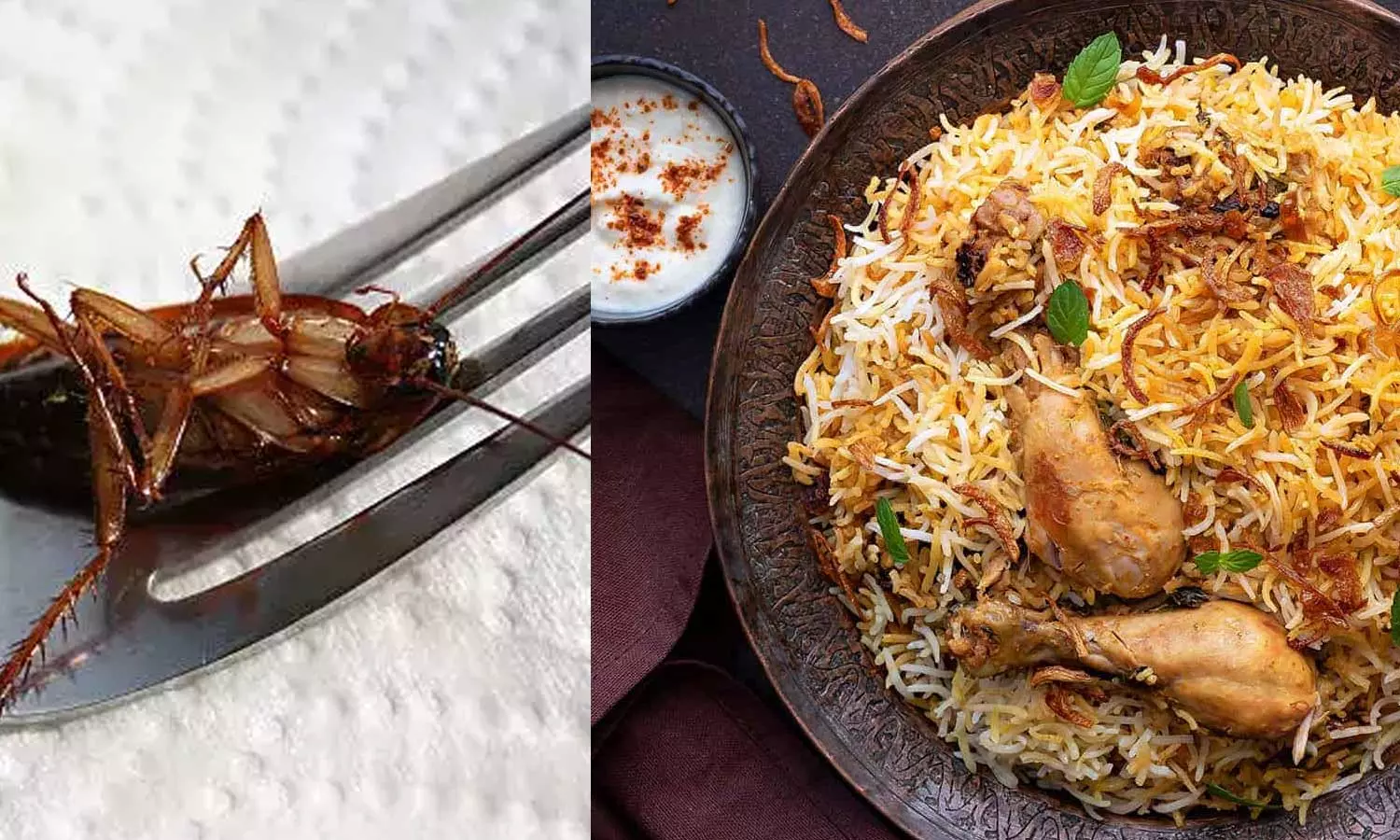 ബിരിയാണിയിൽ ജീവനുള്ള പാറ്റ! 20,000 രൂപ നഷ്ടപരിഹാരം നൽകാന്‍ ഉത്തരവ്