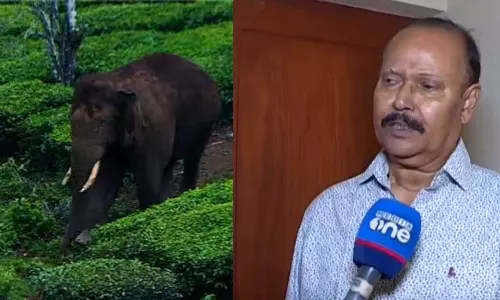 Expert Committee Member PS Isa on Arikomban return,Arikomban is unlikely to return to Chinnakanal,breaking news malayalam,ബ്രേക്കിങ് ന്യൂസ് മലയാളം