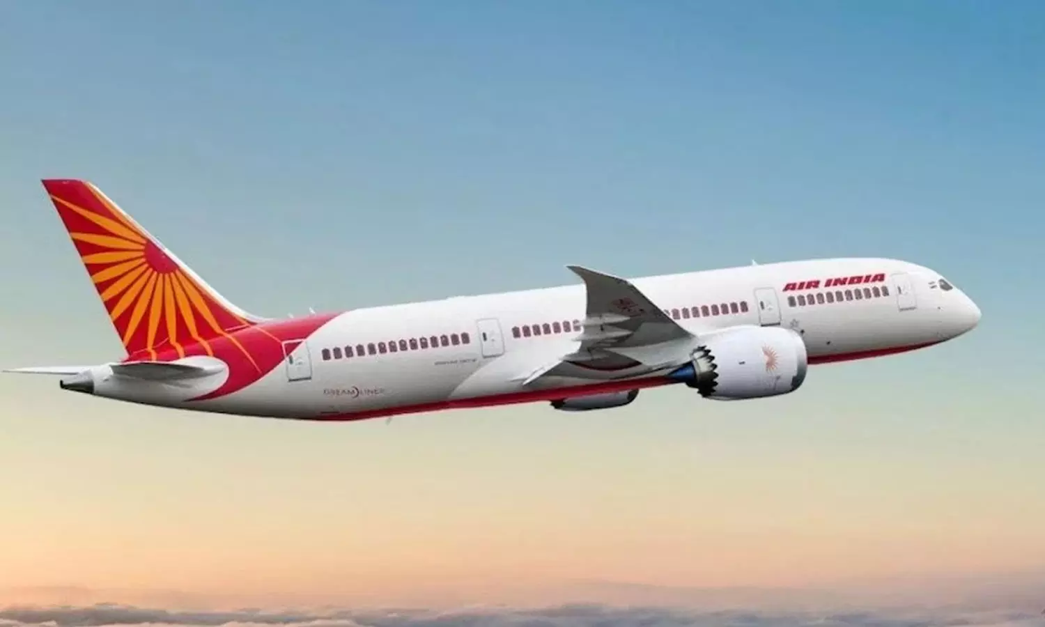 എയര്‍ ഇന്ത്യാ വിമാനത്തില്‍ യാത്രക്കാരിയെ തേള്‍ കുത്തിയതായി പരാതി