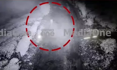 Three tigers were caught on CCTV in Malakappara