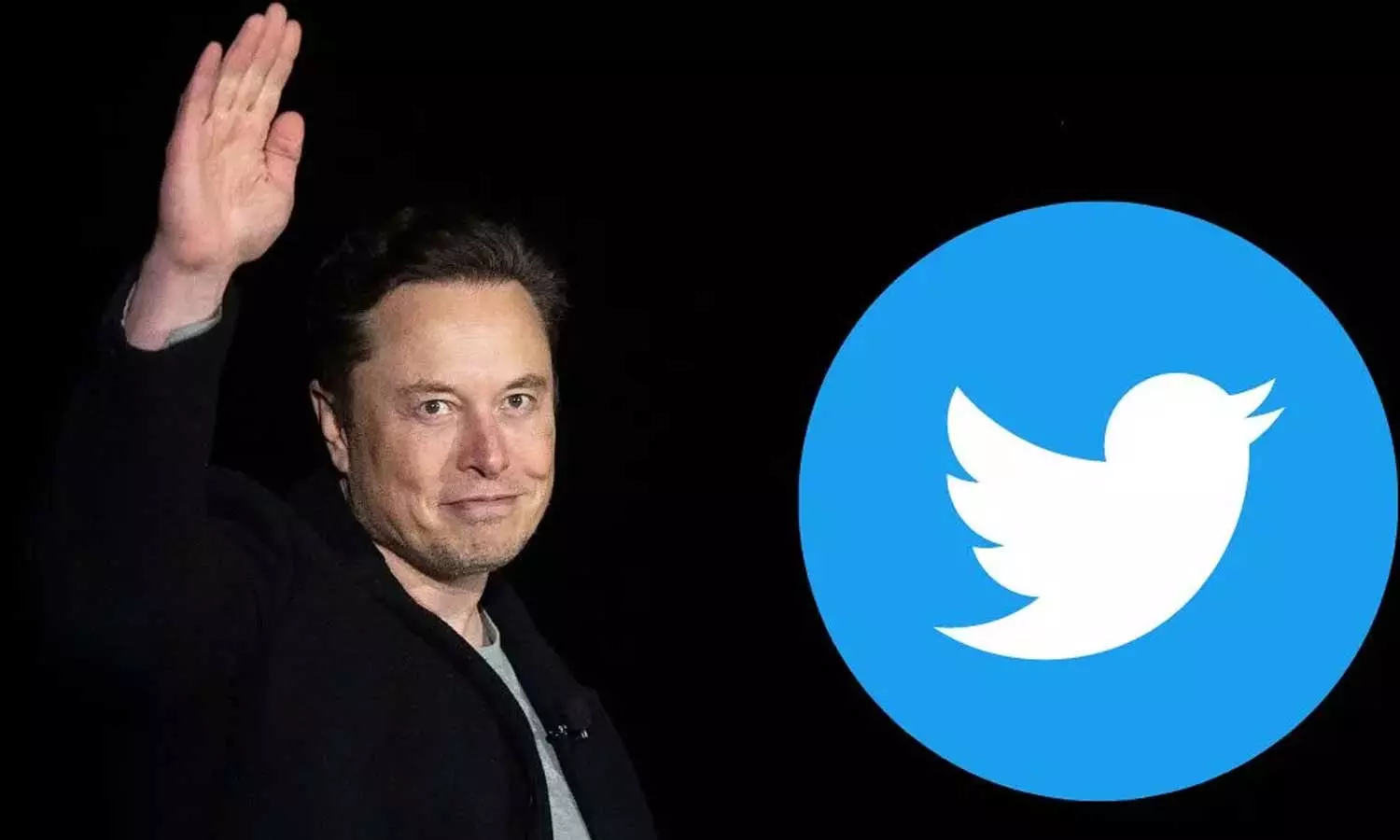 Elon Musk Twitter new CEO Elon Musk Twitter new CEO