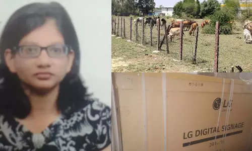 Hema Meena Hema Meena