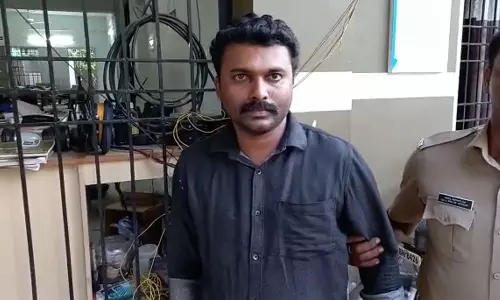 Young man who assaulted young women in Techno Park was arrested