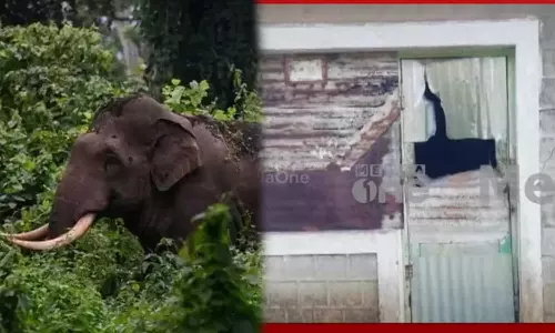 Arikomban tried to destroy the ration shop in Tamil Nadu