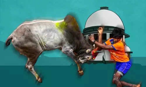 ജെല്ലിക്കെട്ട് സുപ്രിംകോടതി വിധി