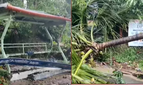 A student was seriously injured when a coconut tree fell on top of the bus stop in Wayanad