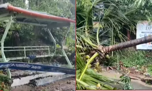 A student died after a tree fell on the bus stop in Wayanad
