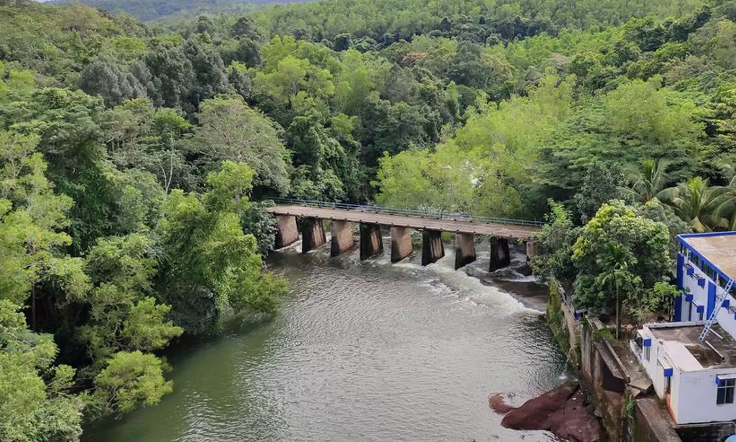 Body of missing youth found near Peppara Dam Body of missing youth found near Peppara Dam