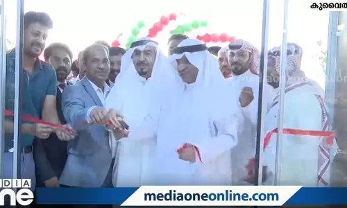 Mango Hyper new branch