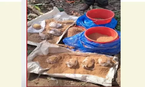 High-powered  bombs found in Kannur,latest malayalam news,കണ്ണൂരിൽ ഉഗ്രശേഷിയുള്ള നാടൻ ബോംബുകൾ കണ്ടെത്തി