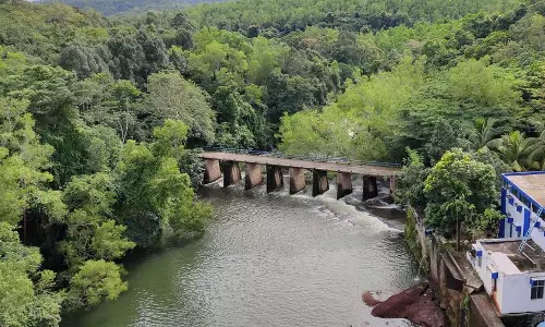 Body of missing youth found near Peppara Dam