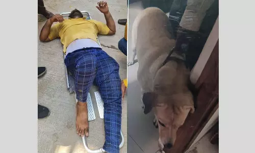 Hyderabad delivery agent jumps off 3rd floor to escape dog attack