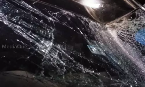 റോഡിലിറങ്ങിയ കാട്ടാനയെ കാറിടിച്ചു; ചക്കക്കൊമ്പനാണെന്ന് സൂചന