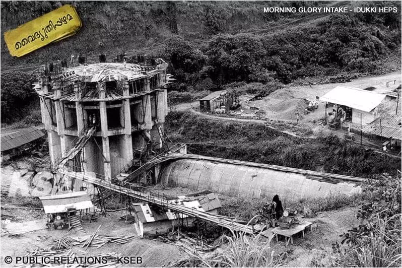 morning glory morning glory