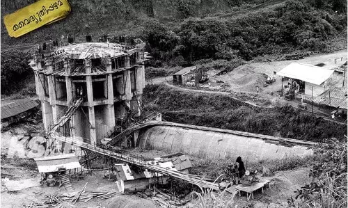 morning glory morning glory