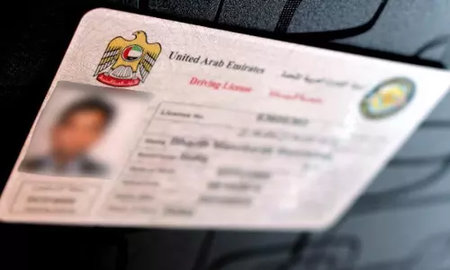 License can pin in Apple phone