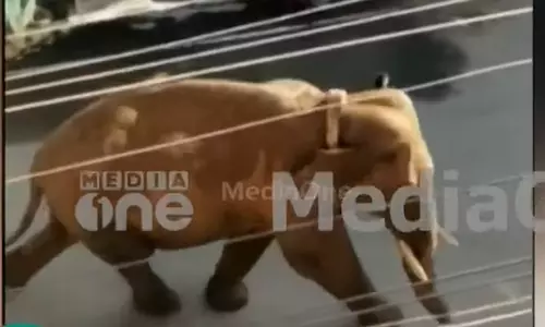 An order was issued to arrest Arikompan