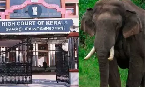 Petition in the High Court to ensure the safety of Arikomban,അരിക്കൊമ്പന്റെ സുരക്ഷ ഉറപ്പാക്കണമെന്നാവശ്യപ്പെട്ട് ഹൈക്കോടതിയിൽ ഹരജി,latest malayalam news,